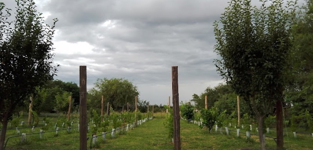 Bodega Sierra y Monte Traslasierra visitas