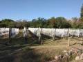 Bodega Santos Quiroga