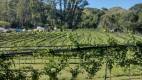 Finca La Granja
