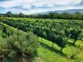 Finca El Boleado